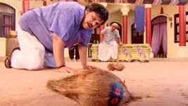 Chidiya Ghar S01E886 The Cursed Coconut Full Episode