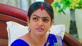 Karthika Deepam S01E1054 Deepa Suspects Mounitha Full Episode