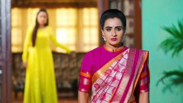 Karthika Deepam S01E1190 Soundarya's Order to Mounitha Full Episode