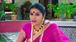 Karthika Deepam S01E1219 What Is Rudrani Upto? Full Episode