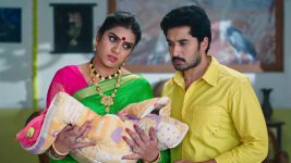 Karthika Deepam S01E1235 Rudrarani's Evil Act Full Episode