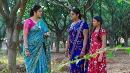 Karthika Deepam S01E1264 A Warning to Rudrarani Full Episode