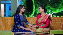 Karthika Deepam S01E1350 Soundarya's Promise to Hema Full Episode