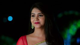 Karthika Deepam S01E1377 Jwala on Cloud Nine Full Episode