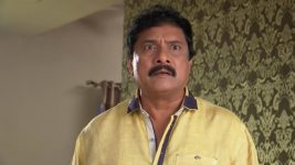 Karthika Deepam S01E189 Muralikrishna Suspects Shravya Full Episode