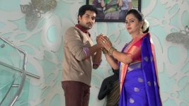 Karthika Deepam S01E219 Karthik to Divulge the Truth? Full Episode