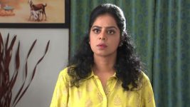 Karthika Deepam S01E273 Mind-blowing Shock for Roshini Full Episode