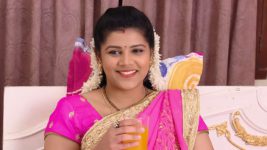 Karthika Deepam S01E380 Shravya Is Pregnant Full Episode