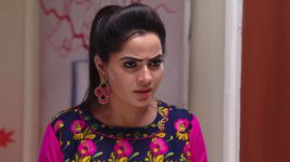 Karthika Deepam S01E462 Mounitha's Evil Plan Full Episode