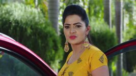 Karthika Deepam S01E535 Deepa Terrifies Mounitha Full Episode