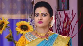 Karthika Deepam S01E637 Soundarya Has a Plan Full Episode