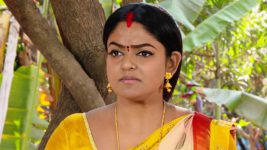 Karthika Deepam S01E743 Deepa Gets Shocked Full Episode