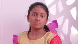 Karthika Deepam S01E812 Hima Hides the Truth Full Episode