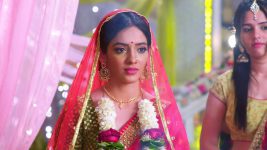 Nima Denzongpa S01E117 1st February 2022 Full Episode