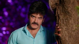 Paape Maa Jeevana Jyothi S01E02 Shambu Wants Revenge Full Episode