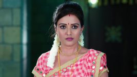 Paape Maa Jeevana Jyothi S01E111 Priya Defends Kutti Full Episode