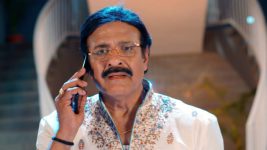 Paape Maa Jeevana Jyothi S01E14 A Shock Awaits Gowri Prasad Full Episode