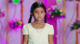 Paape Maa Jeevana Jyothi S01E148 Kutti's Firm Call Full Episode