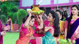 Paape Maa Jeevana Jyothi S01E149 Jyothi Saves Krishna's Day Full Episode