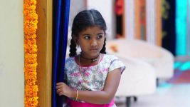 Paape Maa Jeevana Jyothi S01E152 Kutti in a Difficult Situation Full Episode