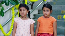 Paape Maa Jeevana Jyothi S01E158 Kutti, Mallika are Homeless Full Episode