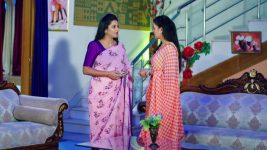 Paape Maa Jeevana Jyothi S01E161 Jyothi's Advice to Priya Full Episode