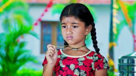 Paape Maa Jeevana Jyothi S01E165 Kutti Lands in a Tough Spot Full Episode