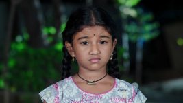 Paape Maa Jeevana Jyothi S01E181 Kutti Feels Low Full Episode