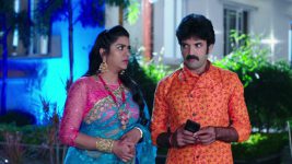 Paape Maa Jeevana Jyothi S01E186 Indumathi's Sinister Plan Full Episode