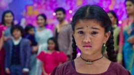 Paape Maa Jeevana Jyothi S01E187 Kutti Is Devastated Full Episode