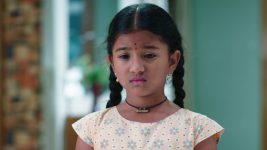 Paape Maa Jeevana Jyothi S01E197 Will Kutti Accept Rishi's Offer? Full Episode