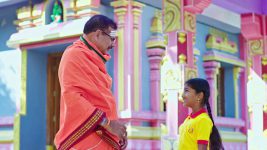 Paape Maa Jeevana Jyothi S01E199 Kutti Is Joyful Full Episode