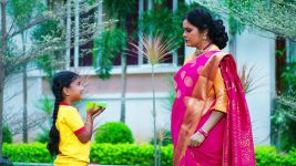 Paape Maa Jeevana Jyothi S01E201 Kutti Is Overjoyed Full Episode