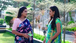 Paape Maa Jeevana Jyothi S01E203 Will Jyothi Learn the Truth? Full Episode