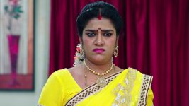 Paape Maa Jeevana Jyothi S01E208 Indumathi's Plan Misfires Full Episode