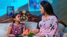 Paape Maa Jeevana Jyothi S01E237 Mallika Is Agitated Full Episode