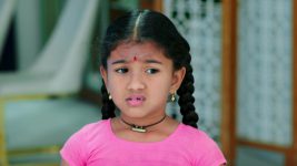 Paape Maa Jeevana Jyothi S01E245 Kutti Takes a Stand Full Episode