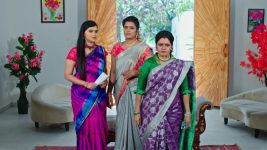 Paape Maa Jeevana Jyothi S01E250 Hymavathi Forbids Priya Full Episode