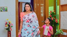 Paape Maa Jeevana Jyothi S01E256 Jyothi Gets Envious Full Episode