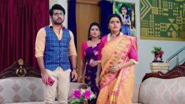 Paape Maa Jeevana Jyothi S01E273 A Shocker for Hymavathi Full Episode