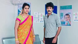 Paape Maa Jeevana Jyothi S01E311 Shambu and Indumathi in a Fix Full Episode