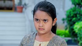 Paape Maa Jeevana Jyothi S01E318 Mallika Gets Agitated Full Episode