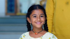 Paape Maa Jeevana Jyothi S01E341 Kutti Is Gleeful Full Episode