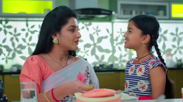 Paape Maa Jeevana Jyothi S01E350 Kutti Is Back Home Full Episode