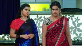 Paape Maa Jeevana Jyothi S01E355 Indumathi, Yamini Team Up Full Episode