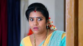 Paape Maa Jeevana Jyothi S01E393 Indumathi Is Anxious Full Episode