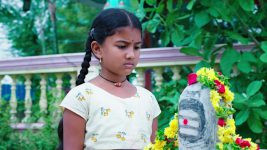 Paape Maa Jeevana Jyothi S01E410 Kutti Goes Missing Full Episode