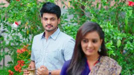 Paape Maa Jeevana Jyothi S01E42 Vishwa in Love? Full Episode