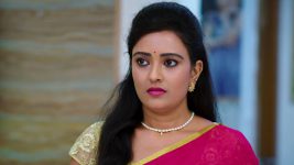 Paape Maa Jeevana Jyothi S01E421 Priya Is Upset Full Episode