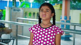 Paape Maa Jeevana Jyothi S01E432 Kutti in a Tight Spot Full Episode